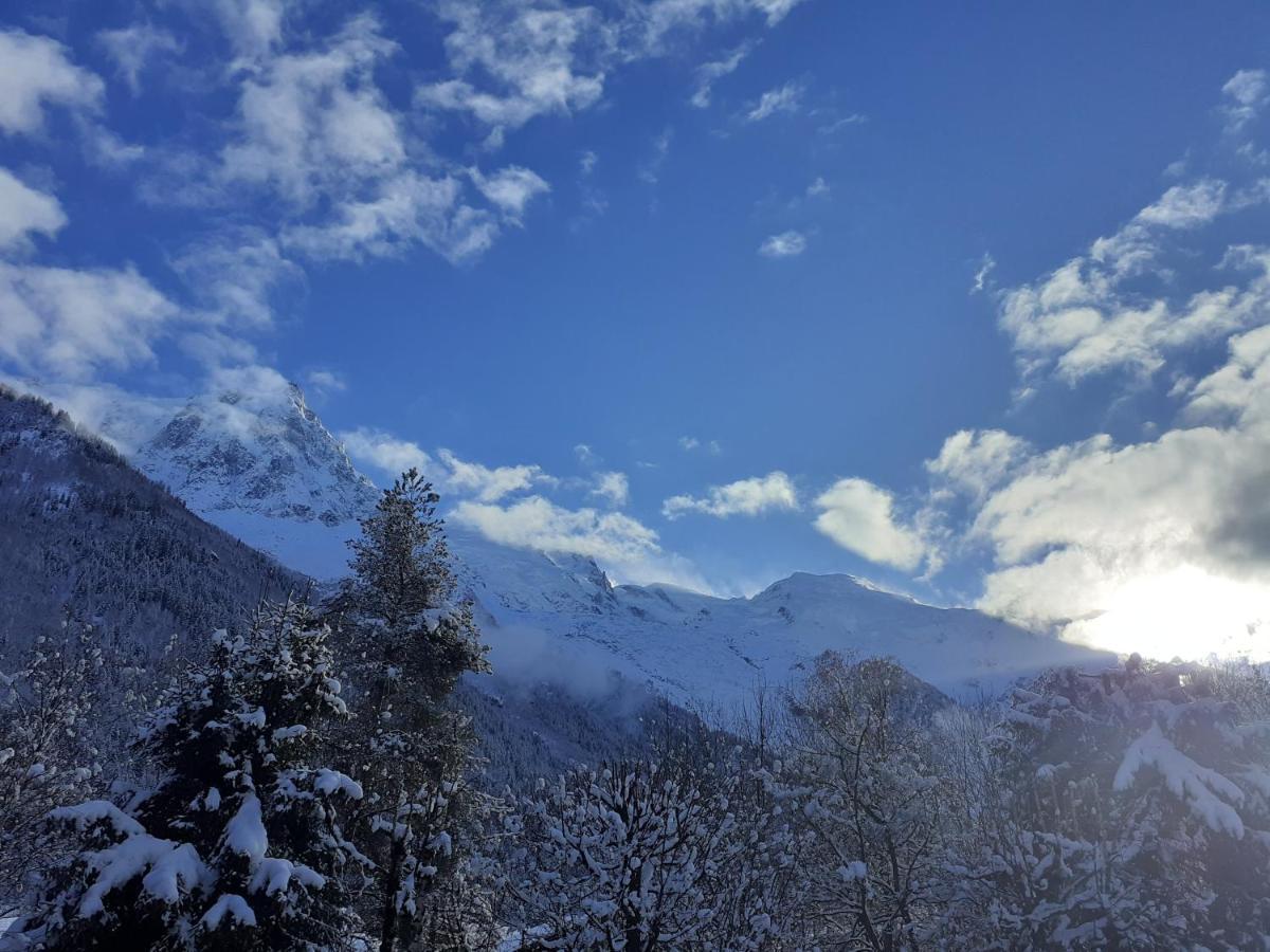 Studio Quartier Calme Centre Ville Vue Mont Blanc Chamonix Zewnętrze zdjęcie